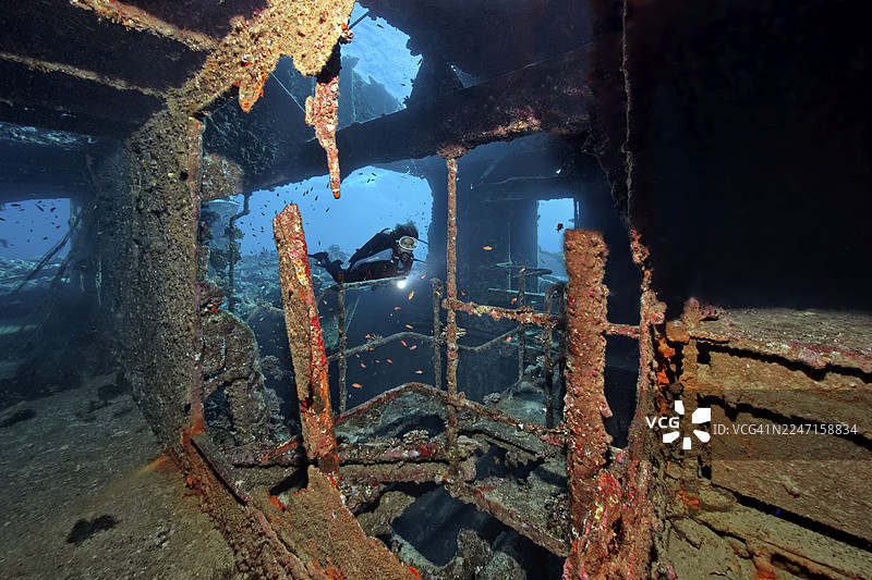 潜水员，在沉船“克里索拉K”号甲板下的潜水，希腊，货船，瓷砖货轮，船尾，于1981年8月30日在埃及红海的沙布礁（或称沙布·阿布·努哈斯礁）沉没图片素材
