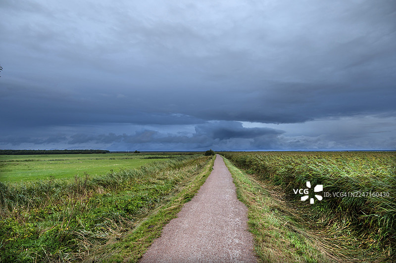 穿过泻湖景色的徒步小径，雨云（雨层云），阿伦斯霍普，达斯，梅克伦堡-西波美拉尼亚，德国图片素材