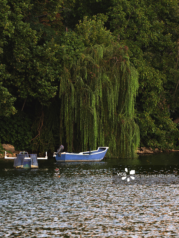 宁静的湖面上有一艘蓝色的船，背景是郁郁葱葱的绿树和一棵垂柳。图片素材