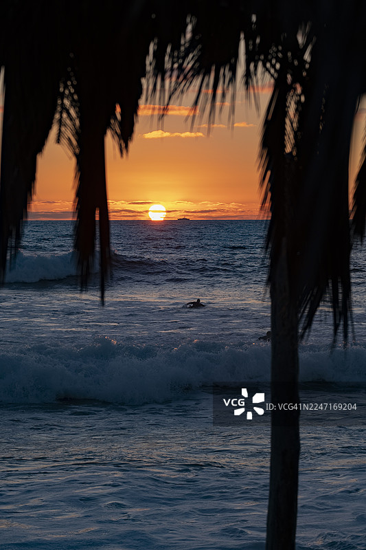 日落时分，海洋上空棕榈树的剪影和孤独的冲浪者，海平面上有一艘船，地点：美国拉霍亚，文图拉德尔马大道图片素材