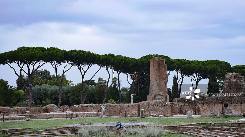 古罗马遗址，松树，阴天，罗马帕拉蒂尼山，意大利图片素材
