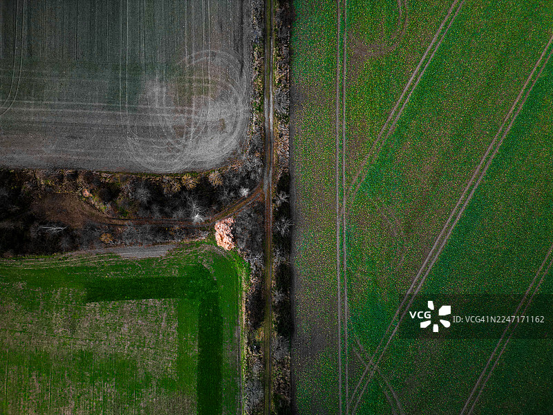 德国格里马，航拍农业田地，绿色的作物和犁过的土地被一条土路隔开图片素材