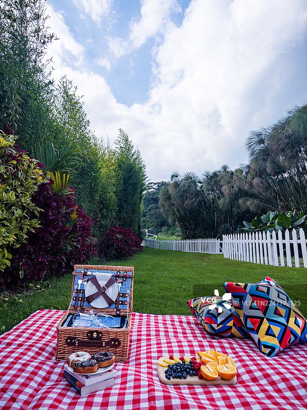 在绿意盎然的公园里，铺着红白格子野餐布，上面放着柳条篮、新鲜水果和甜甜圈，构成一幅生机勃勃的野餐景象图片素材