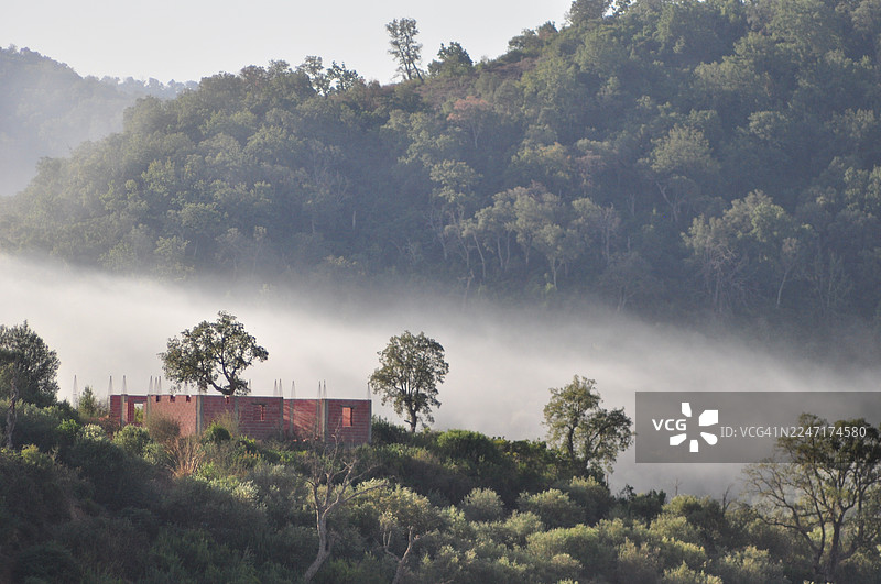 山坡上，薄雾弥漫的早晨，有树木和一座未完工的建筑图片素材