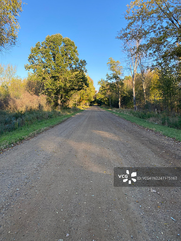 在美国富尔顿，一条空旷的土路蜿蜒穿过生机勃勃的秋季森林，天空湛蓝。图片素材