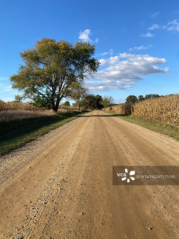 美国富尔顿，晴朗蓝天下白云朵朵，泥土小路蜿蜒穿过田野与树林图片素材
