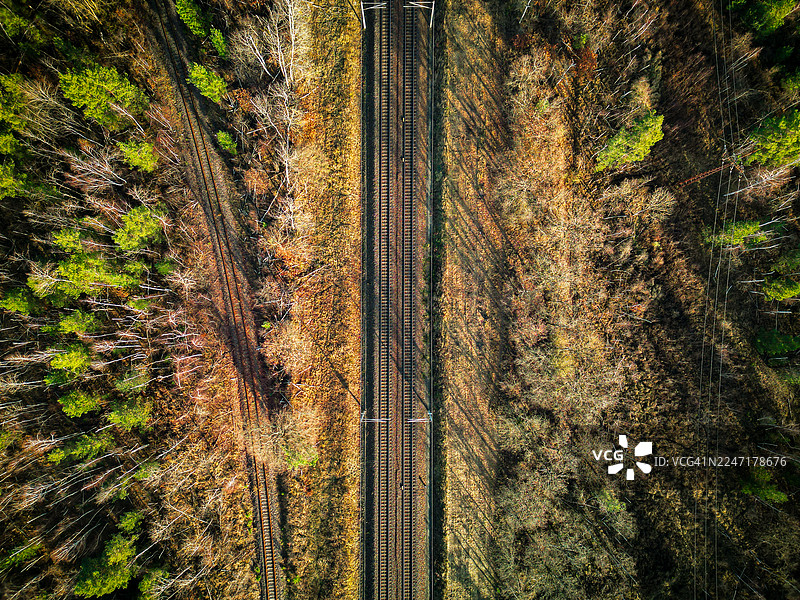 从空中俯瞰穿过混有绿色和秋季树木的森林的铁轨，德国格里马图片素材