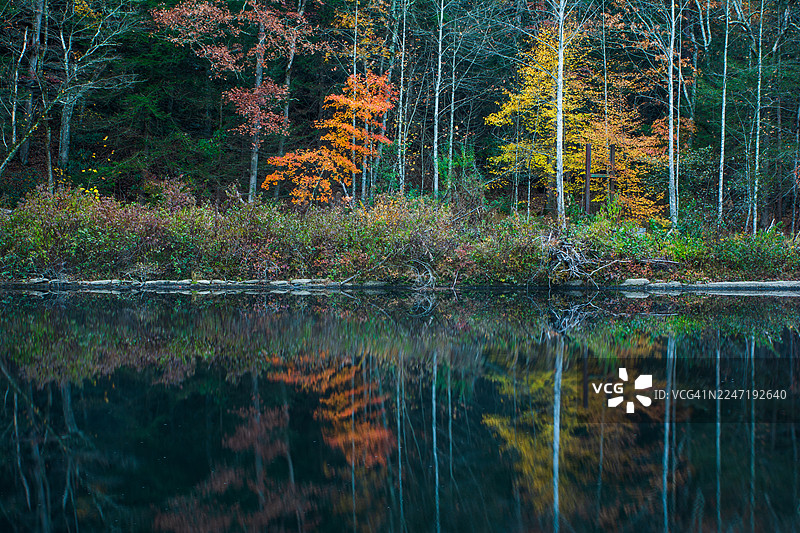 秋季树木倒映在平静的湖面上，秋溪瀑布，美国图片素材
