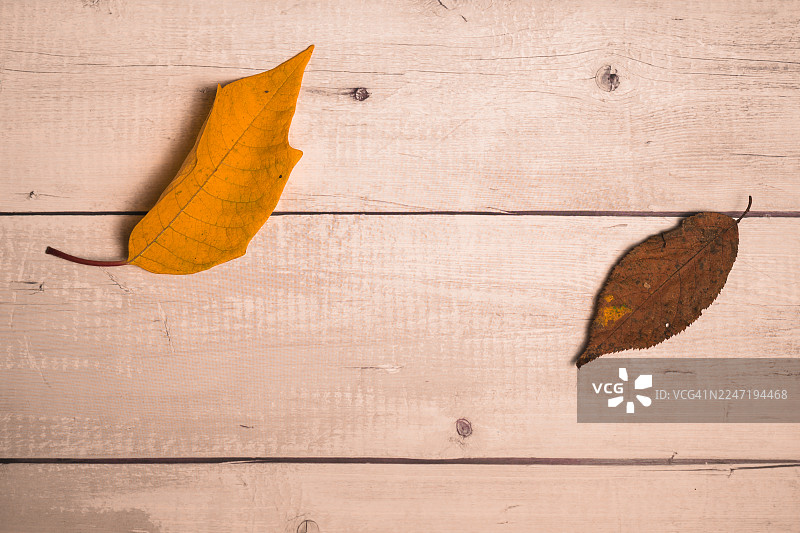 俯视拍摄的两片秋叶在木桌上，一片黄色，一片棕色，并留有复制空间。图片素材