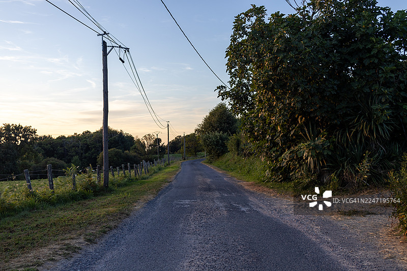 夕阳下，绿色的乡村田野中，一条弯曲的空旷道路旁架设着电线图片素材