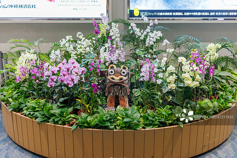 冲绳特有的守护神雕像“狮子”，是一种以狮子为原型的雕像，摆放在家家户户的重要位置。机场的花坛。图片素材