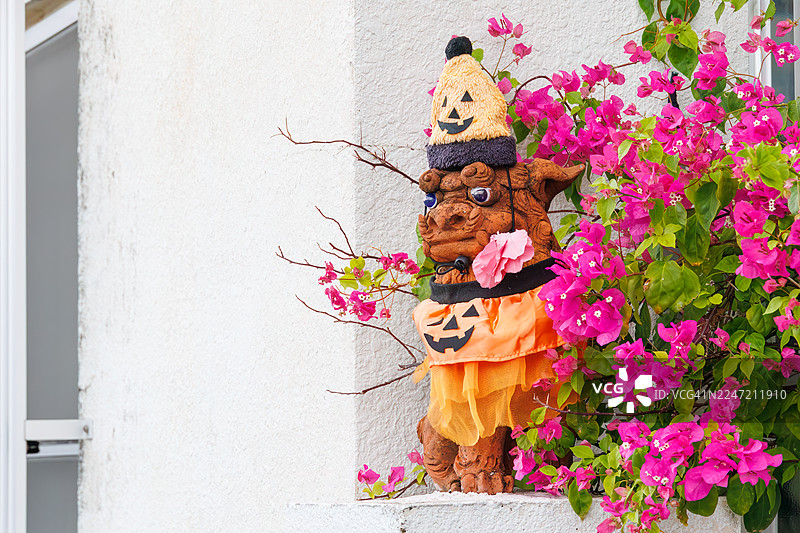 冲绳守护神石狮,狮子造型,家家户户重要之处皆有摆设。万圣节装饰。九重葛。图片素材