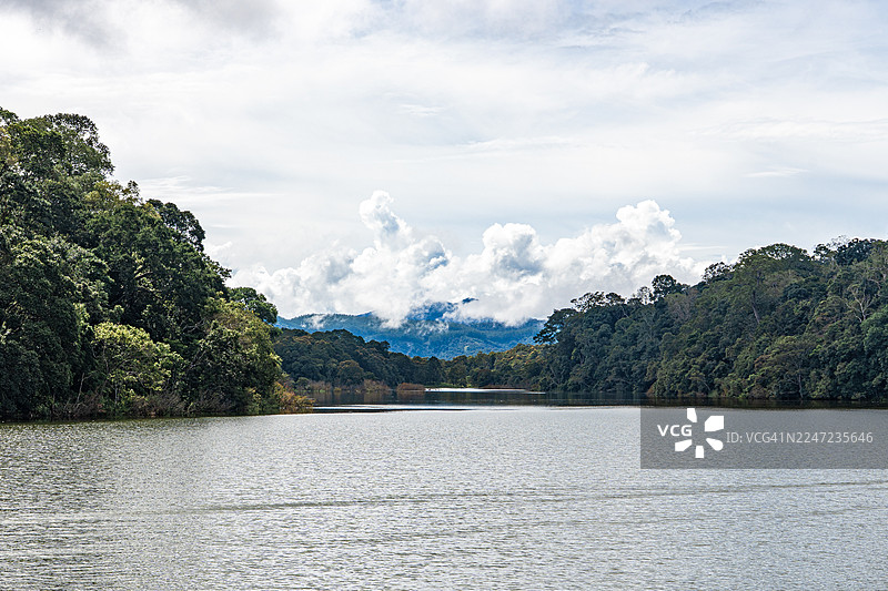 印度喀拉拉邦佩里亚尔湖国家公园的景观图片素材