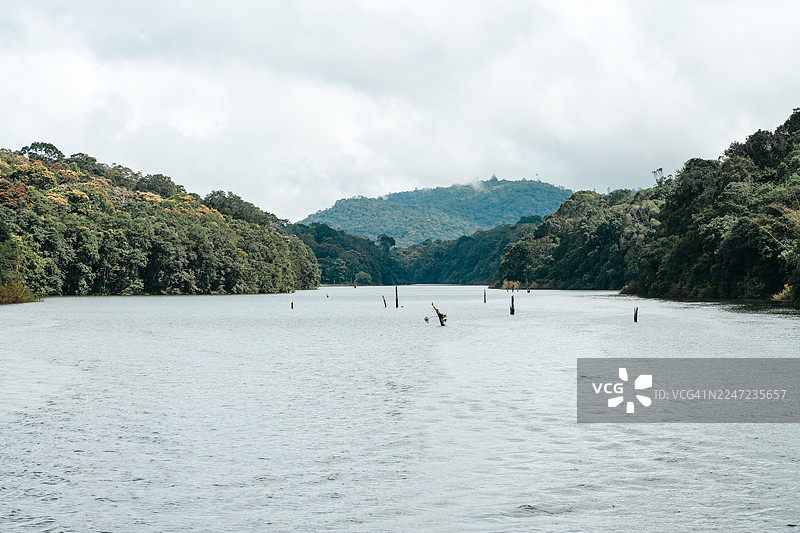 印度喀拉拉邦佩里亚尔湖国家公园的风景视图图片素材