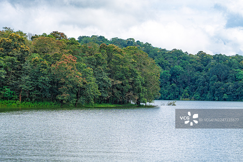 印度喀拉拉邦佩里亚尔湖国家公园的风景景观图片素材