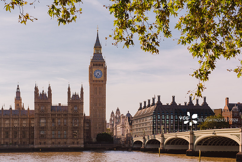 从圣托马斯医院信托公园内拍摄的大本钟钟楼图片素材