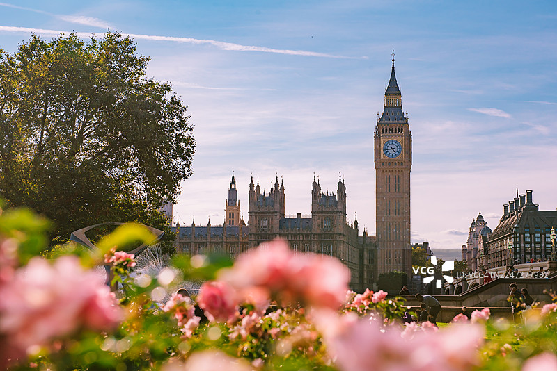 从圣托马斯医院信托公园内拍摄的大本钟钟楼图片素材