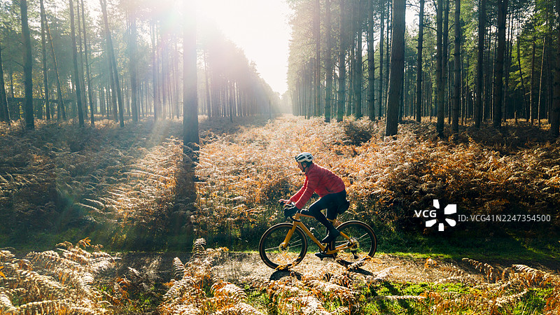 日出时分，一位成熟男士正骑着砾石自行车在秋日森林中探索，无人机视角拍摄图片素材