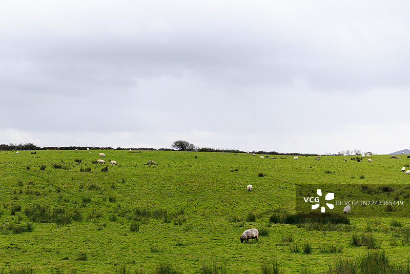 卡罗莫尔巨石遗址周边的田园风光图片素材