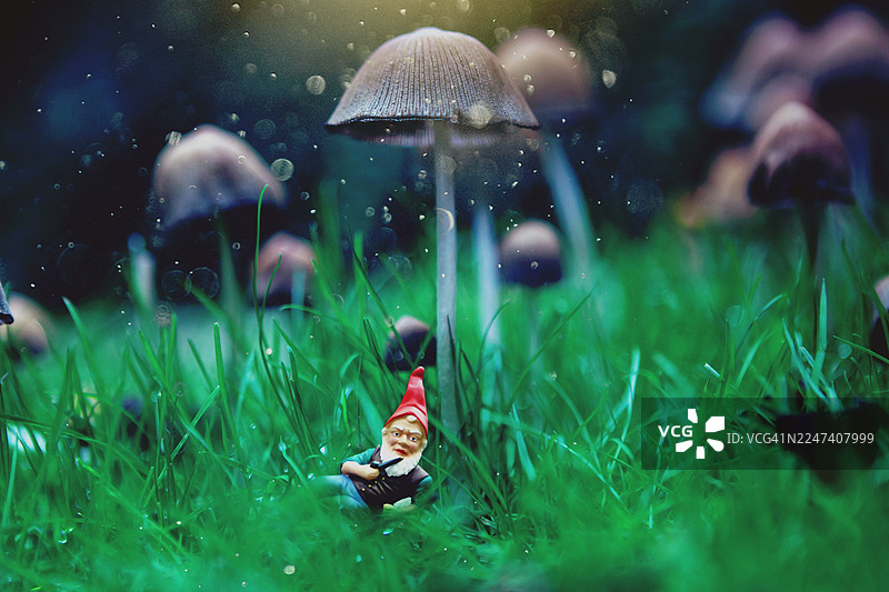 花园侏儒，微缩人偶，躺在绿草地上，戴着红色尖顶帽，留着白胡子，穿着蓝绿相间的衣服，被草环绕，旁边有小小的棕色和灰色蘑菇。图片素材