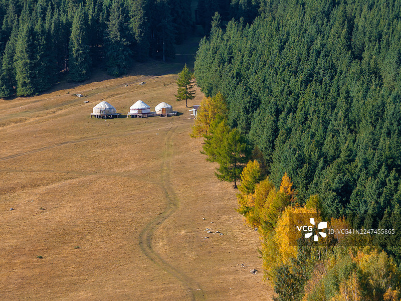 吉尔吉斯斯坦天山山脉，晨曦中，俯瞰茂密的针叶林与蜿蜒的冰川河、泥土路交汇的抽象景象。图片素材