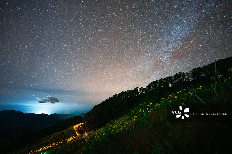 墨西哥向日葵田，夜空中闪耀着星辰与星系的璀璨光芒图片素材