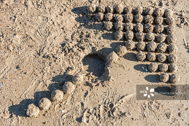 在卡德赞德海滩上，手工卷制的沙球整齐地排列成一支箭图片素材