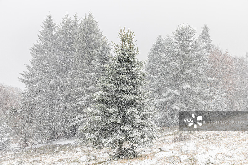 伏热山脉遭遇暴风雪图片素材