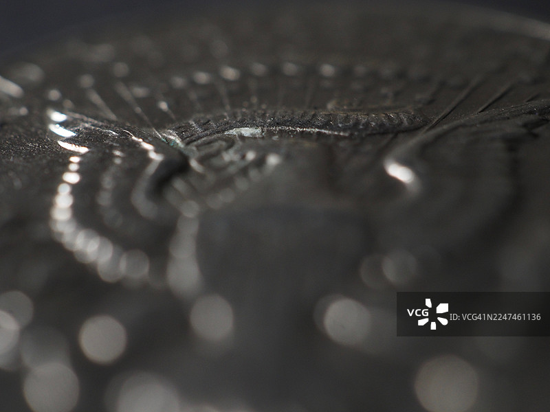 银海豹图片素材