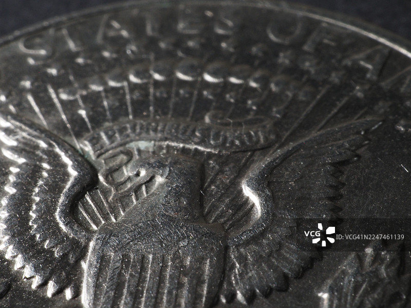 银色海豹图片素材