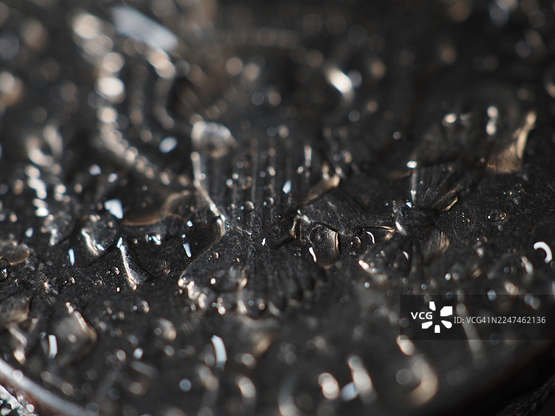 银币上的雨滴图片素材