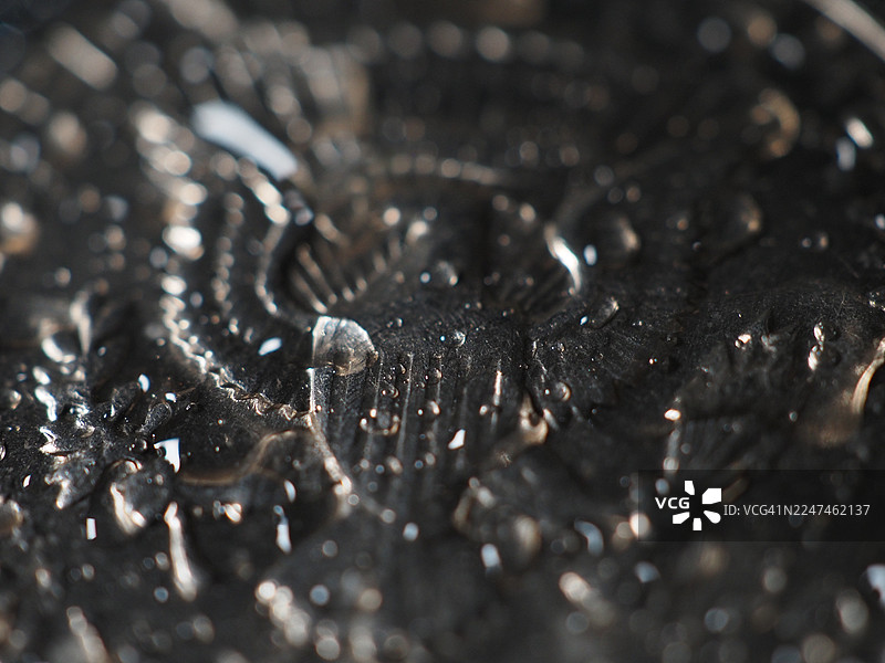 银币上的雨滴图片素材