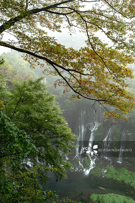 从上方看到的白糸瀑布景象图片素材