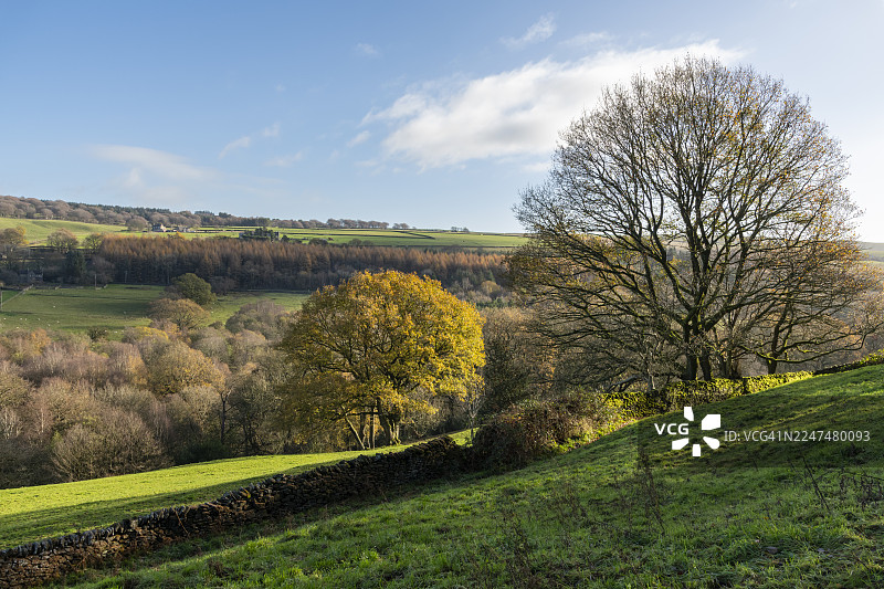 英格兰德比郡惠勒桥周边乡村的优美冬日图片素材