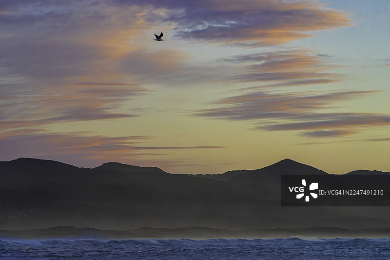 加利福尼亚州圣路易斯-奥比斯波县莫罗湾埃斯特罗湾和沙丘上空飞翔的孤独海鸥图片素材