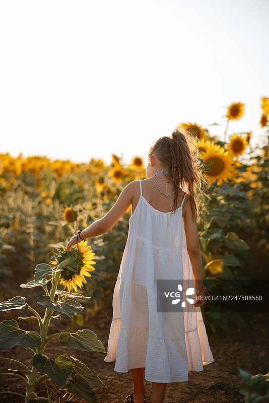 阳光明媚的夏日，孩子在向日葵田里玩耍图片素材