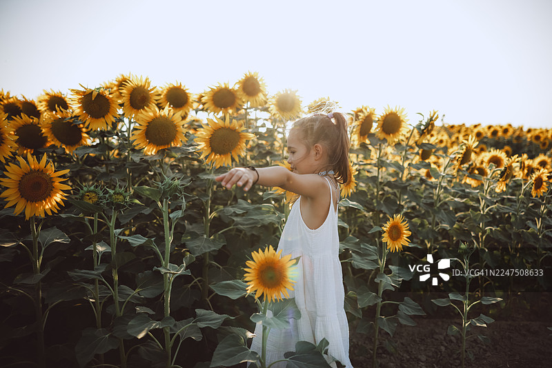 阳光明媚的夏日，孩子在向日葵田里玩耍图片素材
