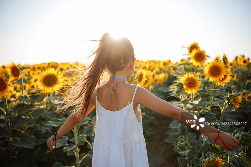 阳光明媚的夏日，孩子在向日葵田中玩耍图片素材