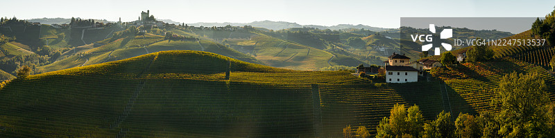 意大利阿尔巴，晴朗天空下的连绵起伏的农田和葡萄园全景图片素材