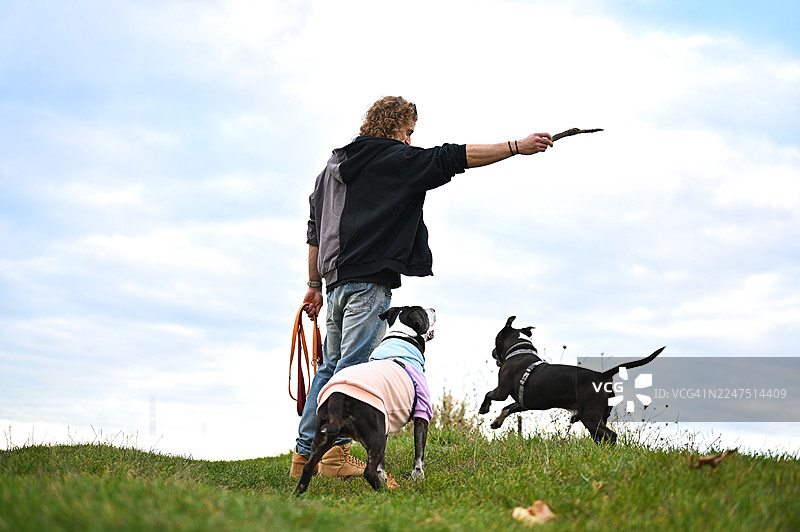 男人在公园里和狗狗玩捡球游戏图片素材