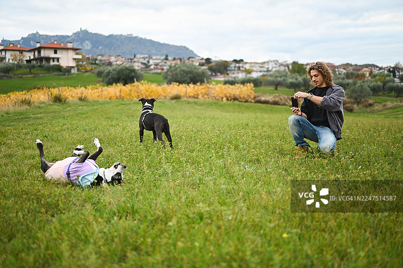 一名男子在圣马力诺的田野里为活泼的狗狗拍照图片素材