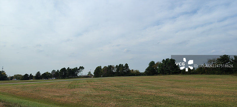 广阔的绿野，天空云层密布，远方有树线和一条道路，营造出宁静与开阔的空间感，美国，克拉克县图片素材