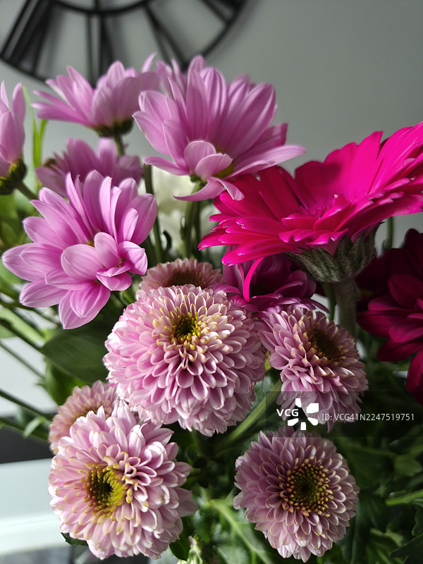 特写镜头下，花束中鲜艳的粉色和紫色花朵图片素材