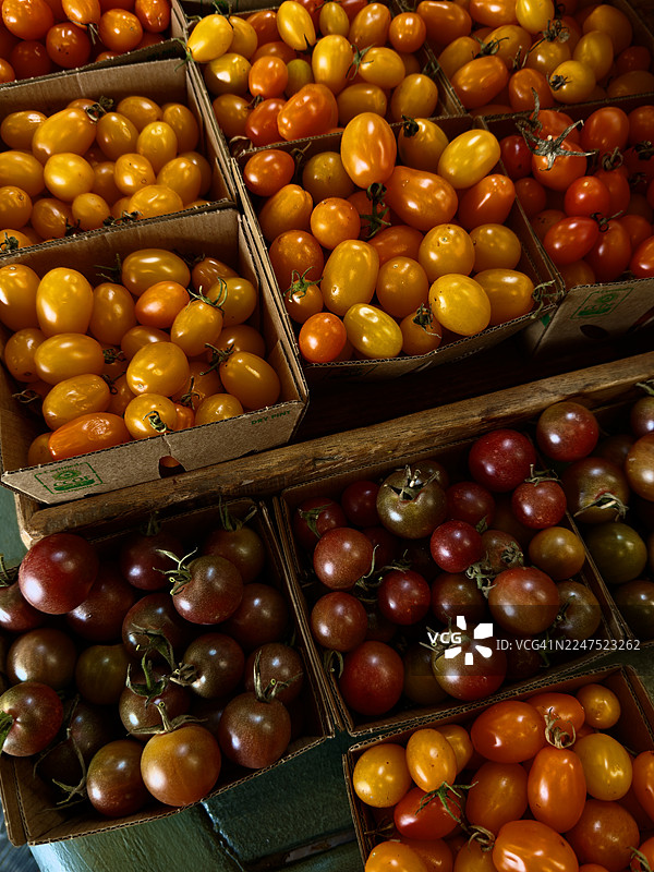 高角度拍摄的彩色樱桃番茄和葡萄番茄，在市集摊位上用纸板箱出售图片素材