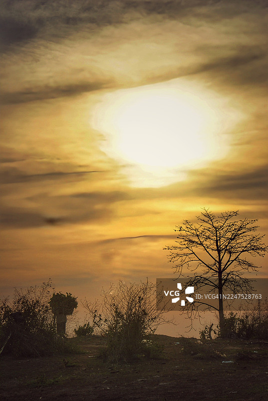 剪影般的赤裸树木和灌木在田野上，映衬着生机勃勃的日落天空，营造出宁静而忧郁的自然景观，印度尼西亚，巴东图片素材