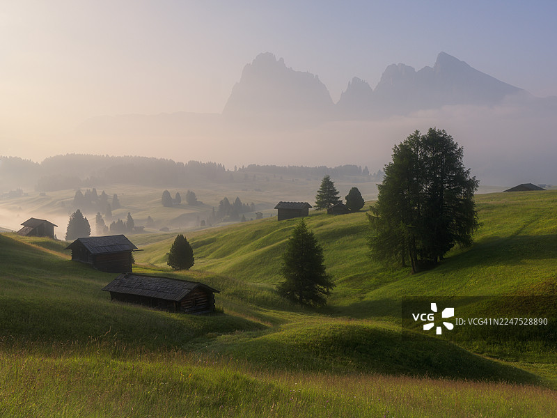 意大利西乌西高山（Alpe di Siusi）起伏的翠绿山丘中，坐落着迷人的木屋，笼罩在柔和的晨雾中，远处是山峦，卡斯泰尔罗托，意大利图片素材