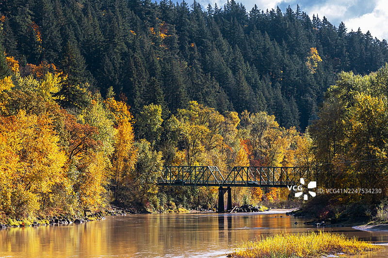 2025年11月2日，来自莎朗·内斯比特遗产公园的桑迪河大桥 - 奥勒冈州特劳特代尔 002图片素材