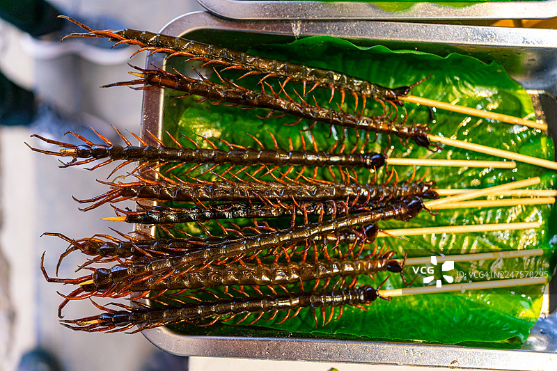 香格里拉独特的亚洲街头美食文化，木串上炸好的蜈蚣，在户外市场摊位上提供传统的昆虫零食图片素材