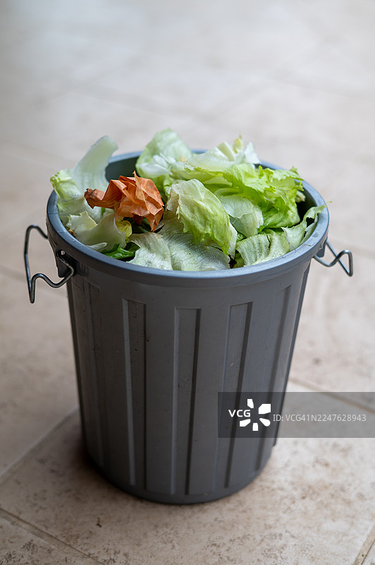 有机垃圾箱中的有机垃圾图片素材
