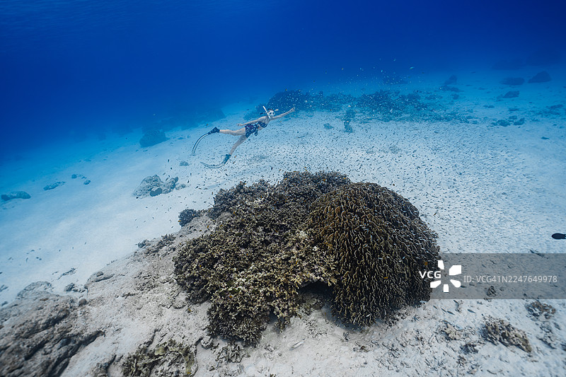 浮潜者在珊瑚礁上方的沙质海底游泳图片素材